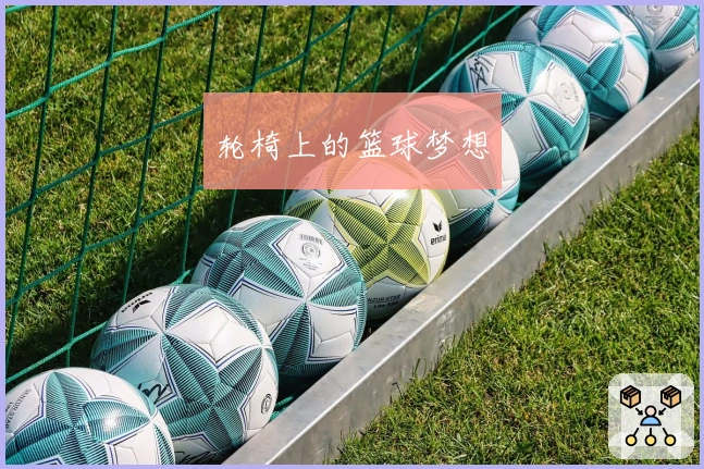 轮椅上的篮球梦想