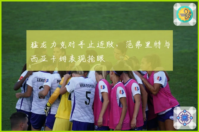 猛龙力克对手止连败，范弗里特与西亚卡姆表现抢眼