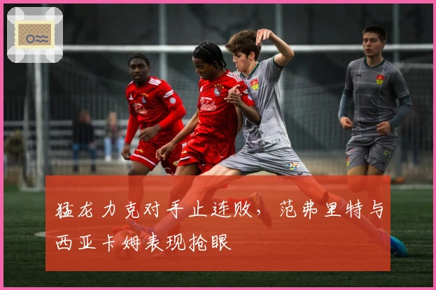 猛龙力克对手止连败，范弗里特与西亚卡姆表现抢眼