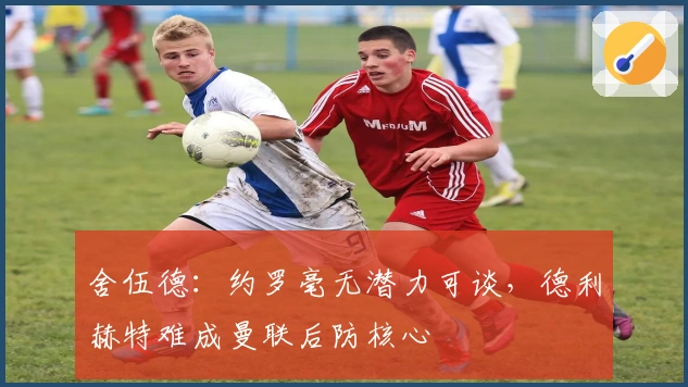 舍伍德：约罗毫无潜力可谈，德利赫特难成曼联后防核心